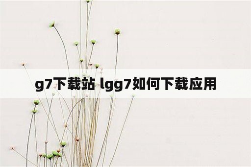 g7下载站 lgg7如何下载应用