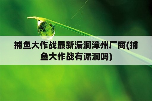 捕鱼大作战最新漏洞漳州厂商(捕鱼大作战有漏洞吗)