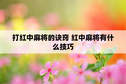 打红中麻将的诀窍 红中麻将有什么技巧