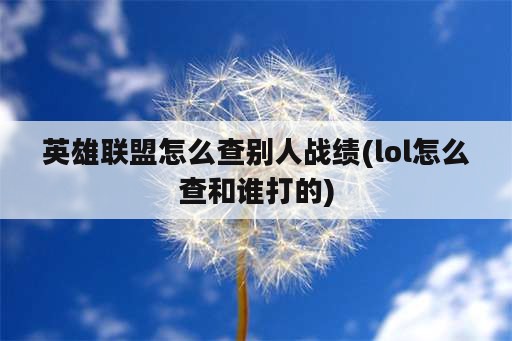 英雄联盟怎么查别人战绩(lol怎么查和谁打的)