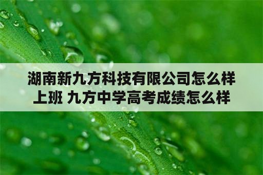 湖南新九方科技有限公司怎么样上班 九方中学高考成绩怎么样