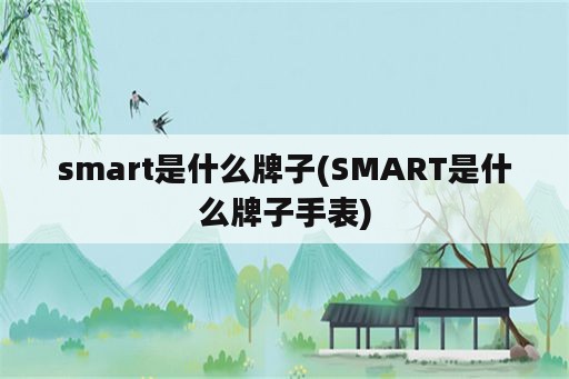 smart是什么牌子(SMART是什么牌子手表)