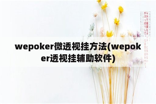 wepoker微透视挂方法(wepoker透视挂辅助软件)