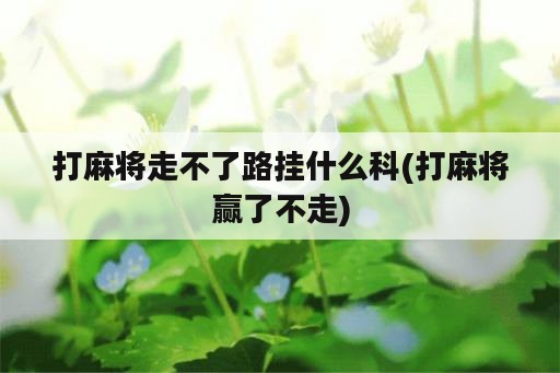 打麻将走不了路挂什么科(打麻将赢了不走)