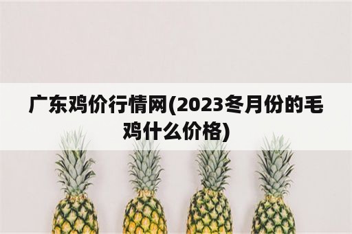 广东鸡价行情网(2023冬月份的毛鸡什么价格)
