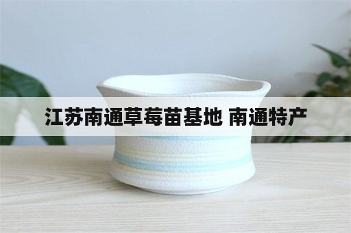 江苏南通草莓苗基地 南通特产