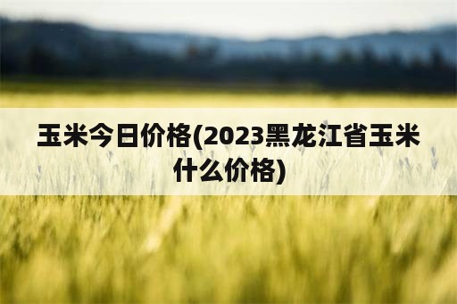 玉米今日价格(2023黑龙江省玉米什么价格)