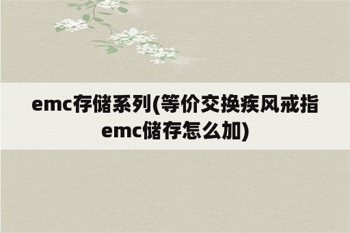 emc存储系列(等价交换疾风戒指emc储存怎么加)