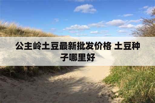 公主岭土豆最新批发价格 土豆种子哪里好