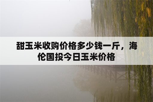 甜玉米收购价格多少钱一斤，海伦国投今日玉米价格