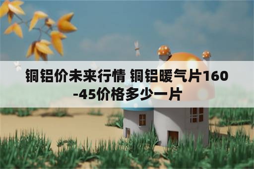 铜铝价未来行情 铜铝暖气片160-45价格多少一片