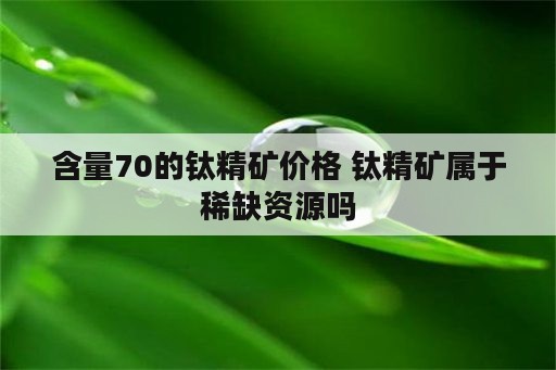 含量70的钛精矿价格 钛精矿属于稀缺资源吗