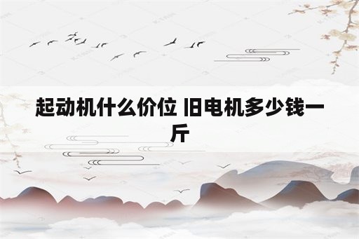 起动机什么价位 旧电机多少钱一斤