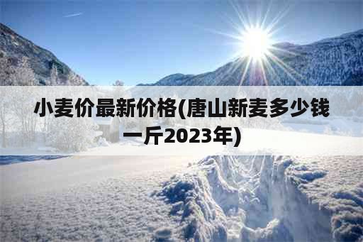 小麦价最新价格(唐山新麦多少钱一斤2023年)