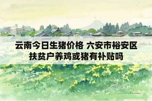 云南今日生猪价格 六安市裕安区扶贫户养鸡或猪有补贴吗