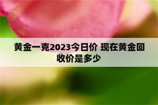 黄金一克2023今日价 现在黄金回收价是多少