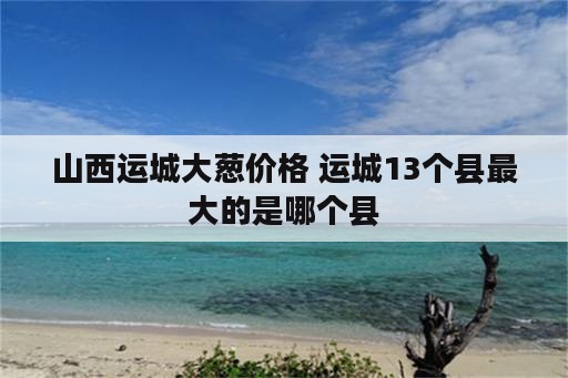 山西运城大葱价格 运城13个县最大的是哪个县