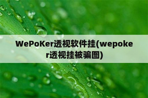 WePoKer透视软件挂(wepoker透视挂被骗图)