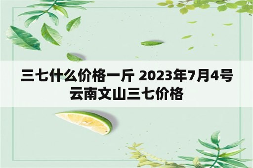 三七什么价格一斤 2023年7月4号云南文山三七价格