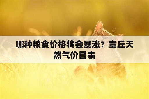 哪种粮食价格将会暴涨？章丘天然气价目表