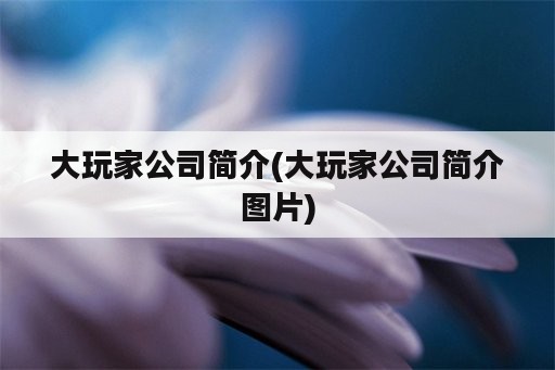 大玩家公司简介(大玩家公司简介图片)