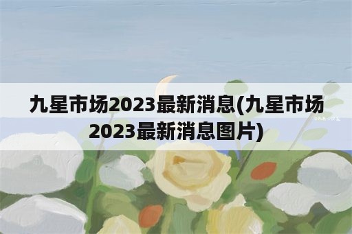 九星市场2023最新消息(九星市场2023最新消息图片)