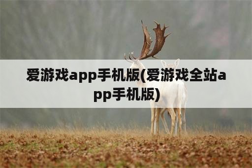 爱游戏app手机版(爱游戏全站app手机版)