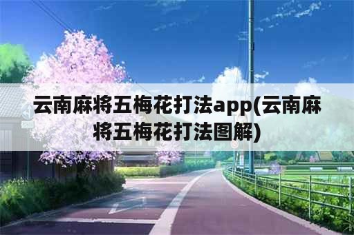 云南麻将五梅花打法app(云南麻将五梅花打法图解)