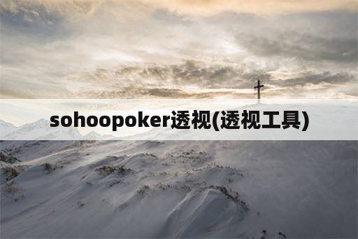 sohoopoker透视(透视工具)