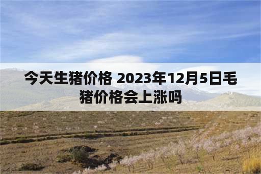 今天生猪价格 2023年12月5日毛猪价格会上涨吗