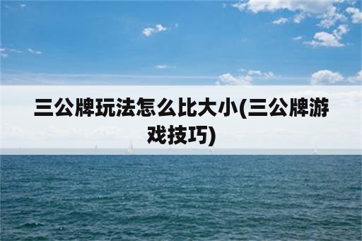 三公牌玩法怎么比大小(三公牌游戏技巧)