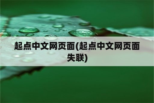 起点中文网页面(起点中文网页面失联)