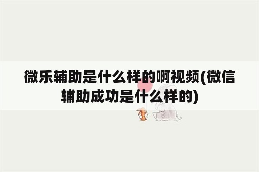 微乐辅助是什么样的啊视频(微信辅助成功是什么样的)