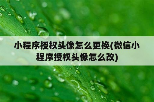 小程序授权头像怎么更换(微信小程序授权头像怎么改)