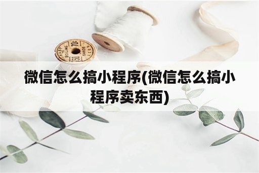 微信怎么搞小程序(微信怎么搞小程序卖东西)