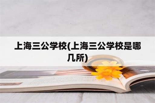 上海三公学校(上海三公学校是哪几所)