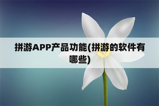 拼游APP产品功能(拼游的<strong>软件</strong>有哪些)