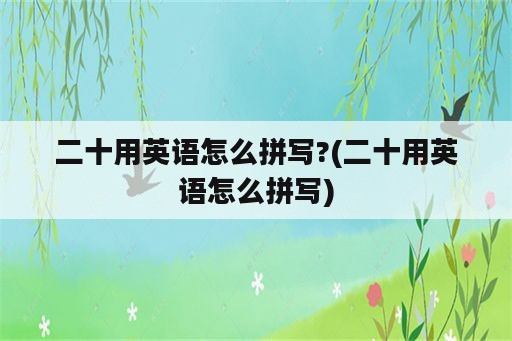 二十用英语怎么拼写?(二十用英语怎么拼写)