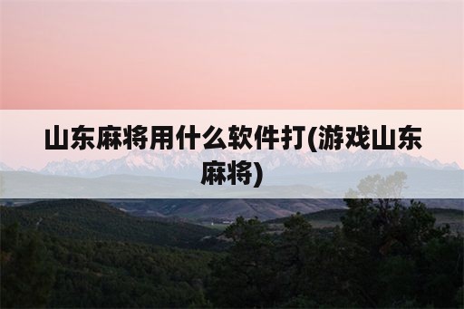 山东麻将用什么软件打(游戏山东麻将)