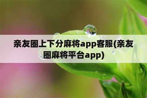 亲友圈上下分麻将app客服(亲友圈麻将平台app)