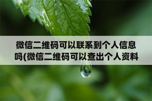 微信二维码可以联系到个人信息吗(微信二维码可以查出个人资料吗)