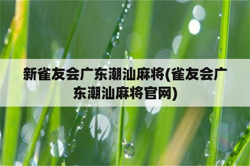 新雀友会广东潮汕麻将(雀友会广东潮汕麻将官网)