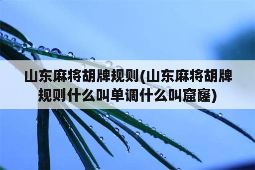 山东麻将胡牌规则(山东麻将胡牌规则什么叫单调什么叫窟窿)