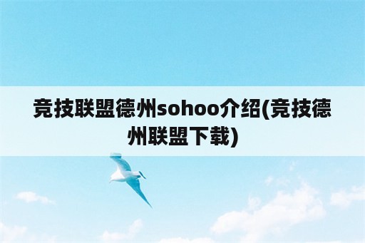 竞技联盟德州sohoo介绍(竞技德州联盟下载)