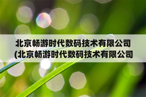 北京畅游时代数码技术有限公司(北京畅游时代数码技术有限公司 诈骗)