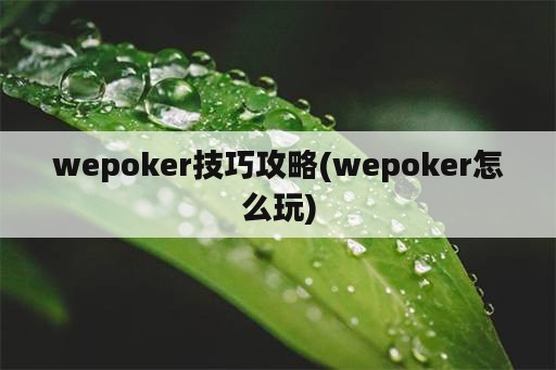 wepoker技巧攻略(wepoker怎么玩)