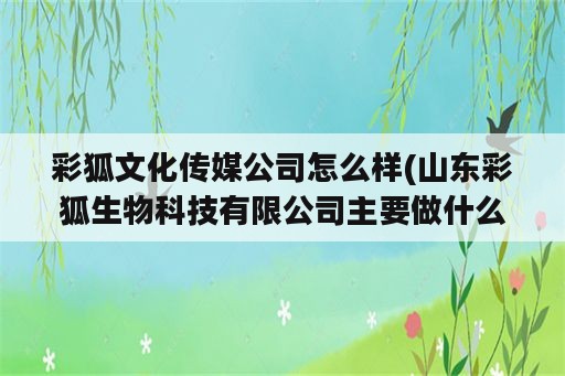 彩狐文化传媒公司怎么样(山东彩狐生物科技有限公司主要做什么)