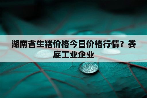 湖南省生猪价格今日价格行情？娄底工业企业