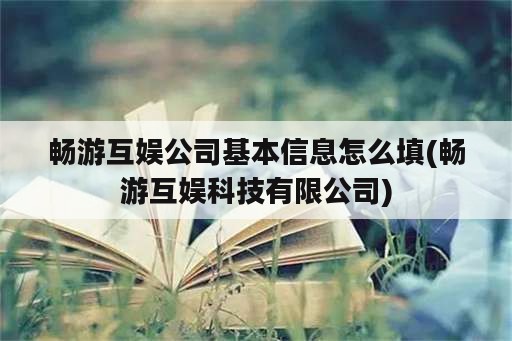 畅游互娱公司基本信息怎么填(畅游互娱科技有限公司)