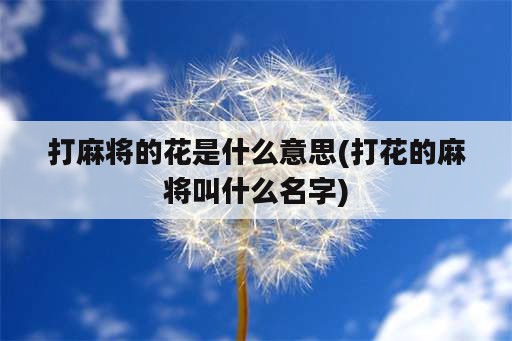 打麻将的花是什么意思(打花的麻将叫什么名字)